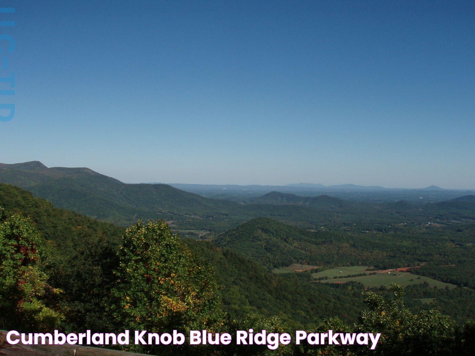 The Ultimate Guide To Blue Knob: Everything You Need To Know